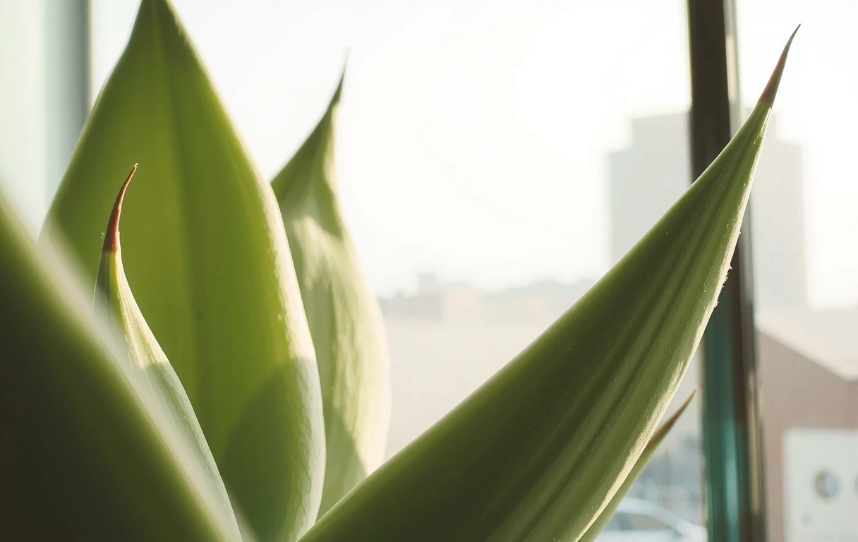 Botanical network concept